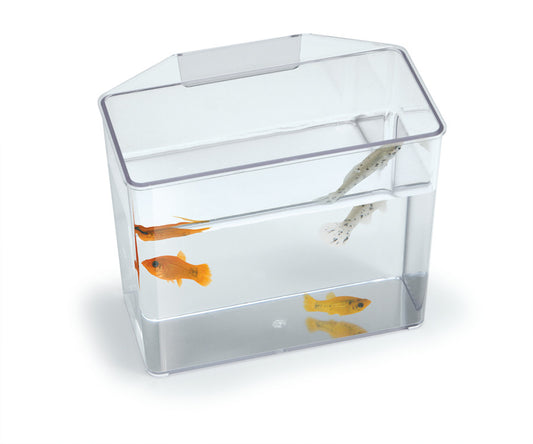 Lee's Aquarium & Pet Products Convalescent Home/Specimen Container