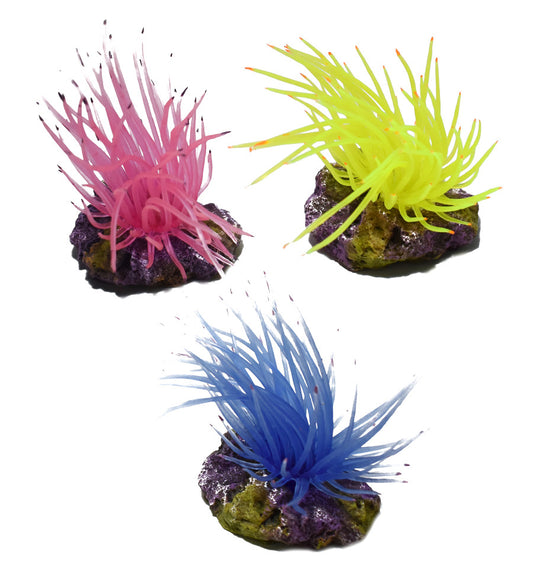 Hikari USA Marine Series Anemone on Rock Resin Ornament