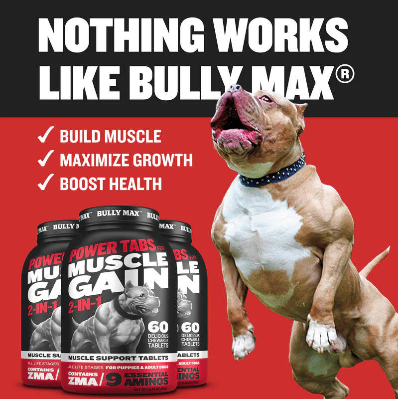 BULLY MAX POWER TABS FOR MUSCLE GAIN