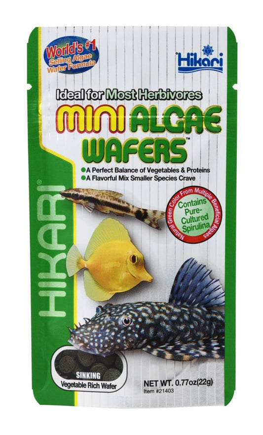 Hikari USA Algae Wafers Sinking Wafer Fish Food