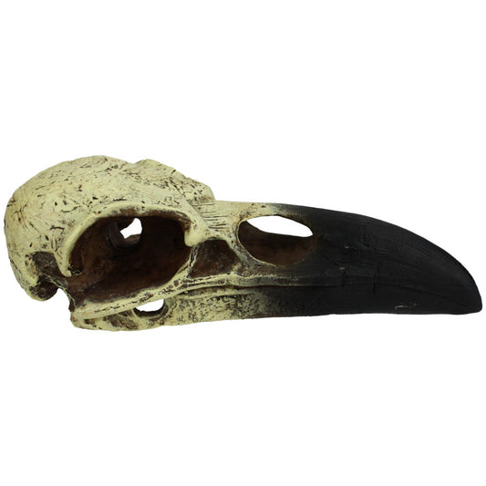 Komodo Raven Skull Hideout