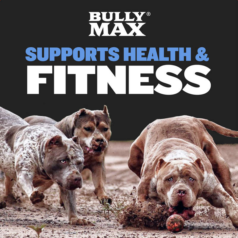 BULLY MAX LIQUID WEIGHT LOSS SUPPLEMENT