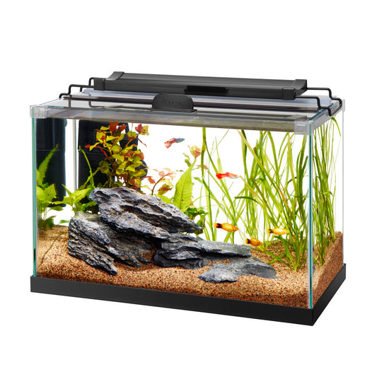 Aqueon Rimless Rectangle Aquarium