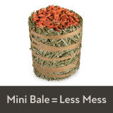 Kaytee Field+Forest Mini Hay Bale Carrot