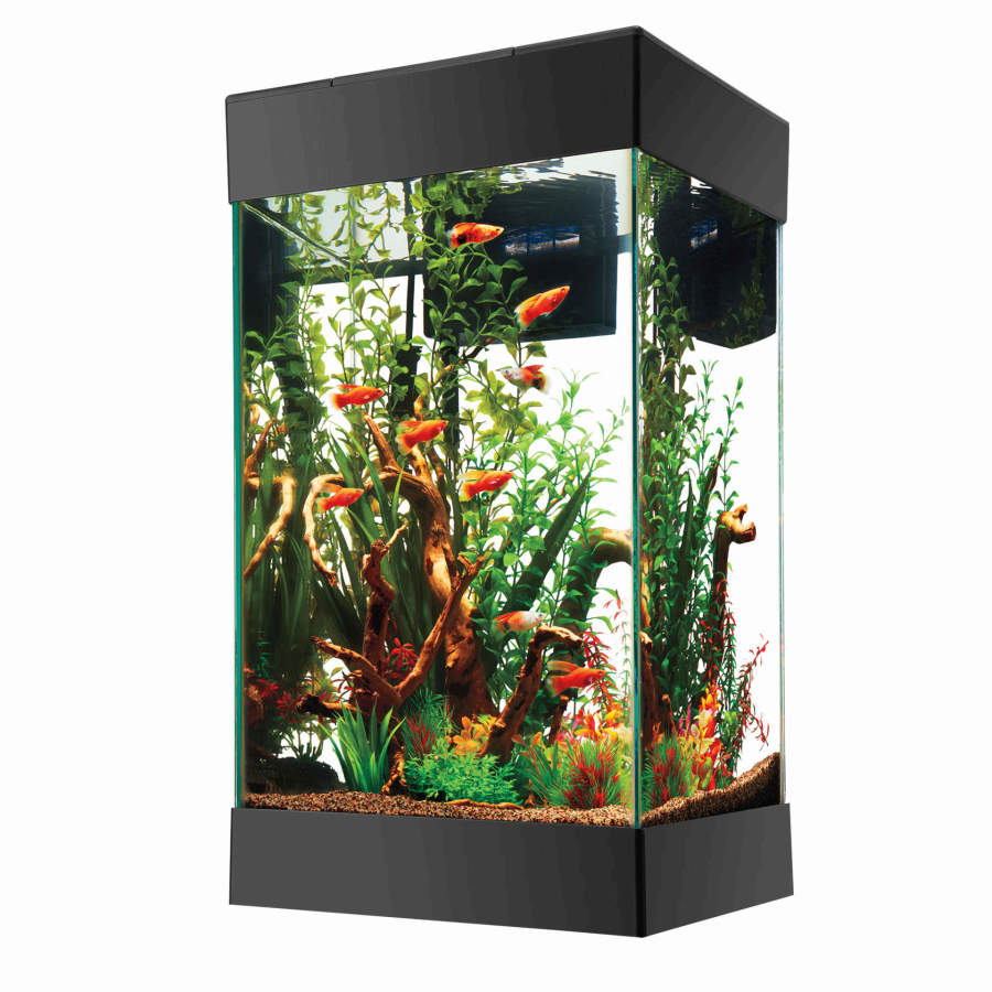 Aqueon Aquarium Starter Kit with LED Lighting